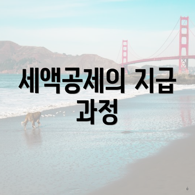 세액공제의 지급 과정