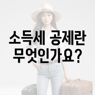 소득세 공제란 무엇인가요?