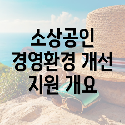 소상공인 경영환경 개선 지원 개요