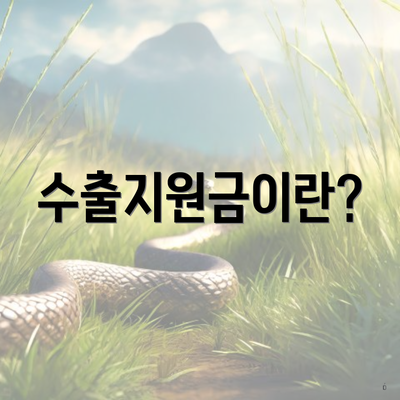 수출지원금이란?