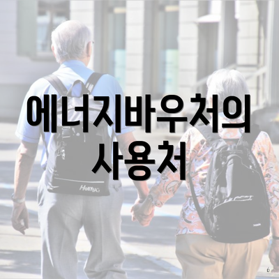 에너지바우처의 사용처