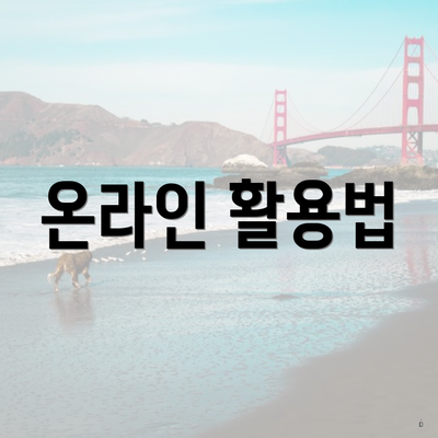 온라인 활용법