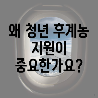 왜 청년 후계농 지원이 중요한가요?