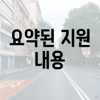 요약된 지원 내용