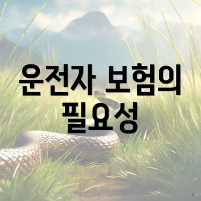 운전자 보험의 필요성