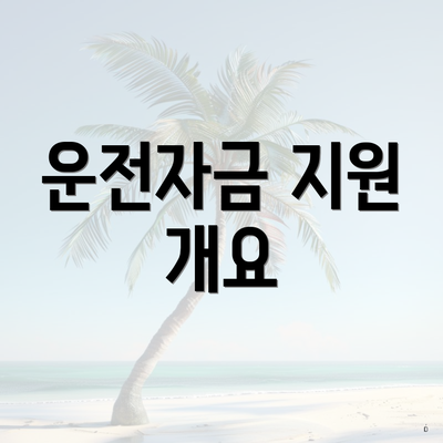 운전자금 지원 개요