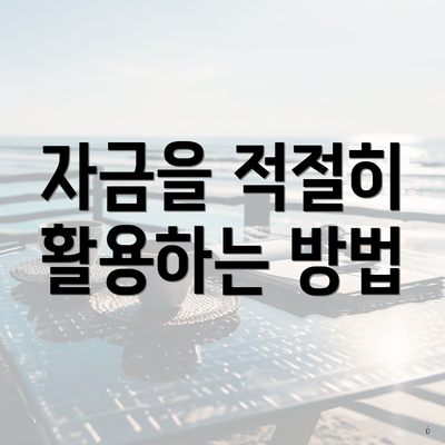 자금을 적절히 활용하는 방법
