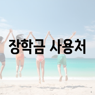 장학금 사용처