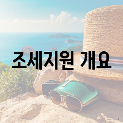 조세지원 개요
