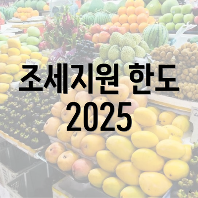 조세지원 한도 2025