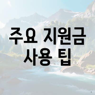 주요 지원금 사용 팁