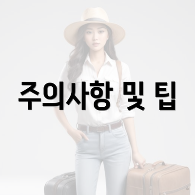 주의사항 및 팁