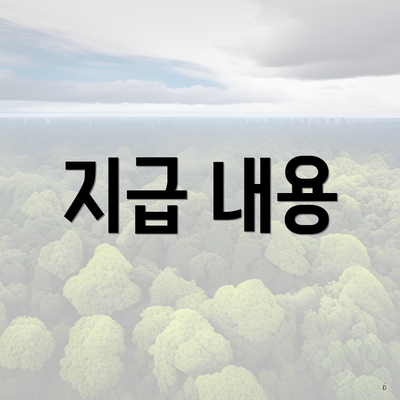 지급 내용