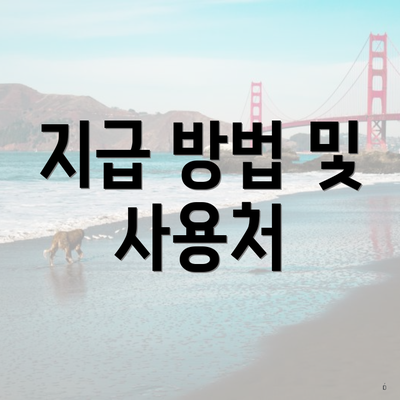 지급 방법 및 사용처
