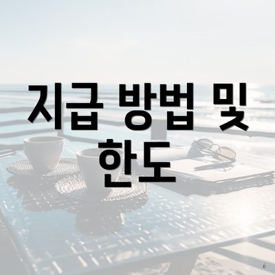 지급 방법 및 한도