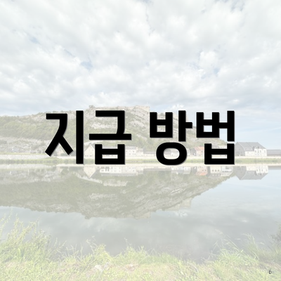 지급 방법