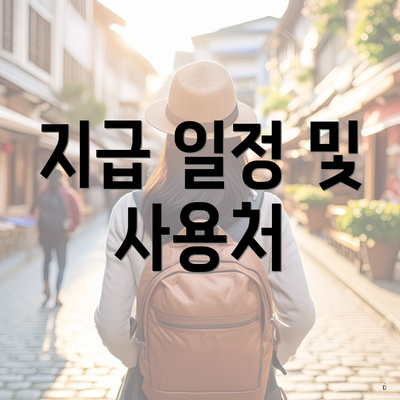 지급 일정 및 사용처