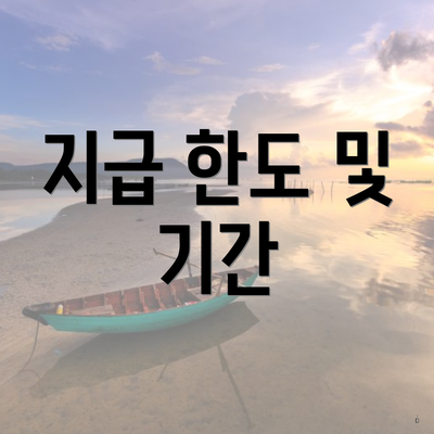 지급 한도 및 기간