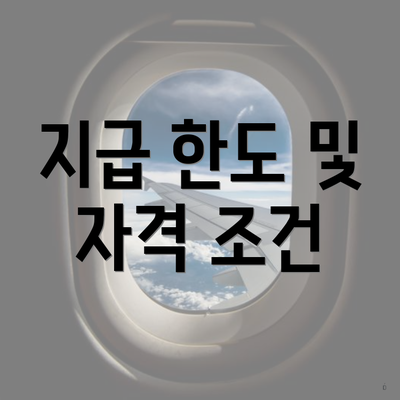 지급 한도 및 자격 조건