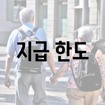 지급 한도