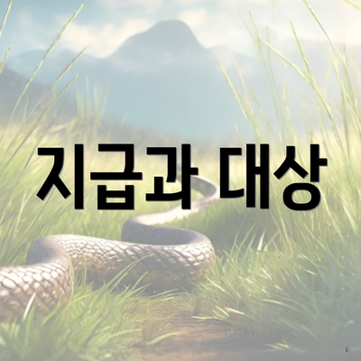 지급과 대상