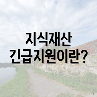 지식재산 긴급지원이란?