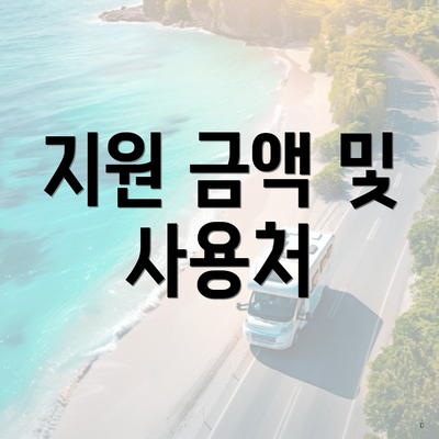 지원 금액 및 사용처