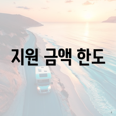 지원 금액 한도