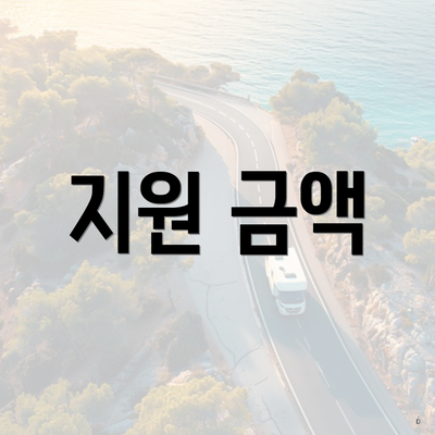지원 금액