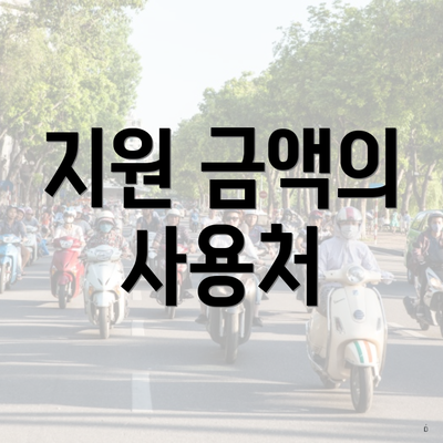 지원 금액의 사용처