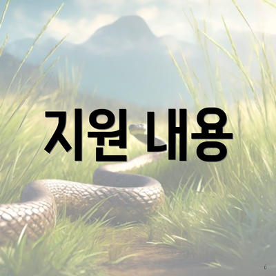 지원 내용