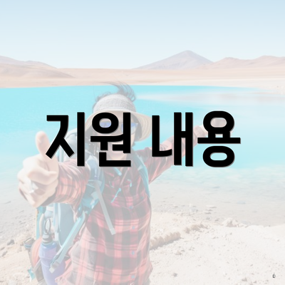 지원 내용