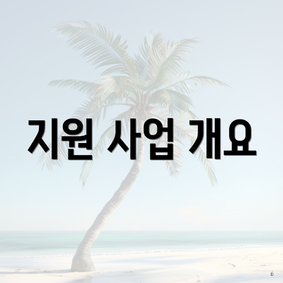 지원 사업 개요