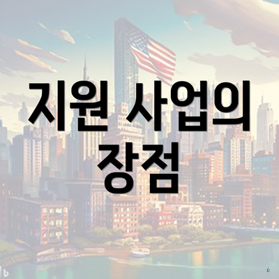 지원 사업의 장점