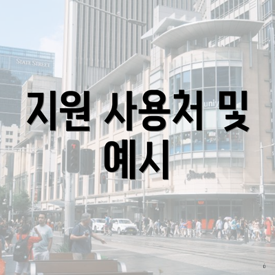 지원 사용처 및 예시