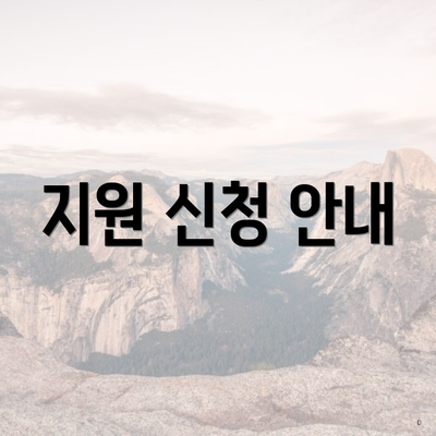 지원 신청 안내