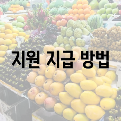 지원 지급 방법