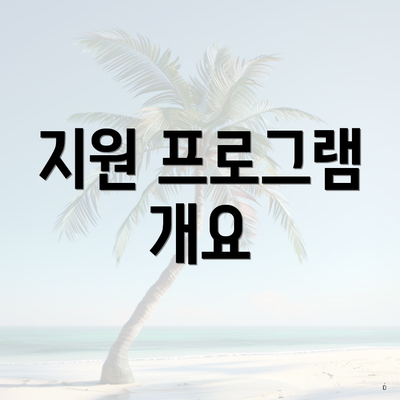 지원 프로그램 개요