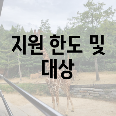 지원 한도 및 대상