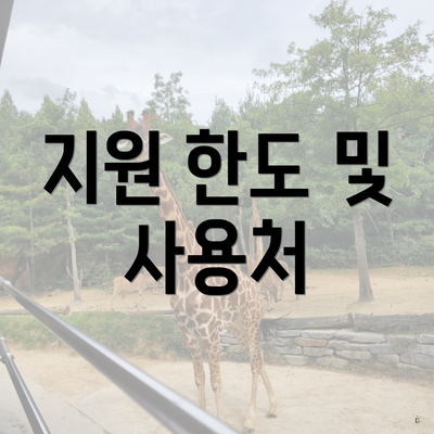 지원 한도 및 사용처