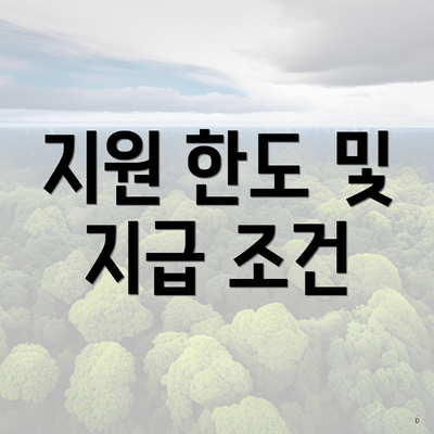 지원 한도 및 지급 조건