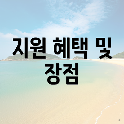 지원 혜택 및 장점