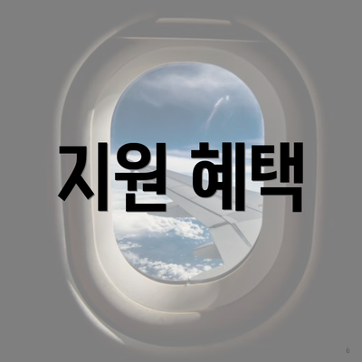 지원 혜택