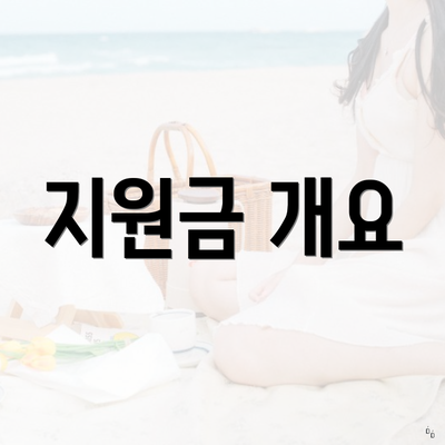 지원금 개요