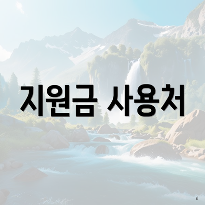 지원금 사용처