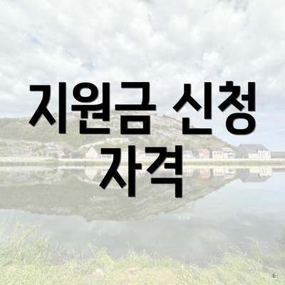 지원금 신청 자격