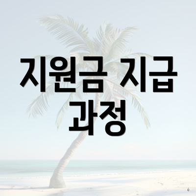 지원금 지급 과정