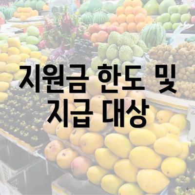 지원금 한도 및 지급 대상
