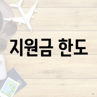 지원금 한도