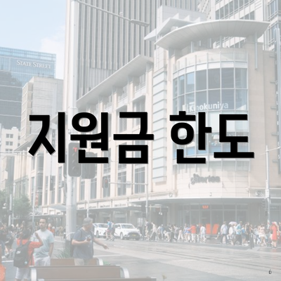 지원금 한도
